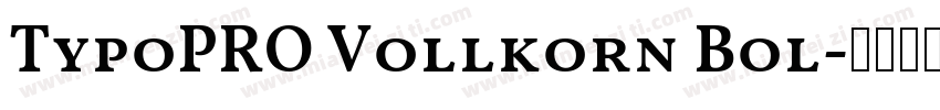 TypoPRO Vollkorn Bol字体转换